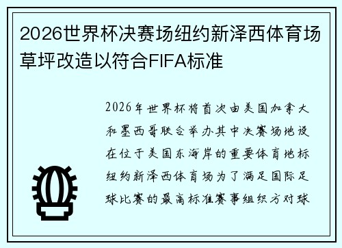 2026世界杯决赛场纽约新泽西体育场草坪改造以符合FIFA标准